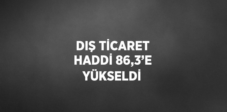 DIŞ TİCARET HADDİ 86,3’E YÜKSELDİ