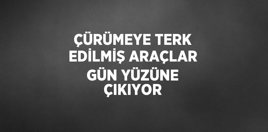 ÇÜRÜMEYE TERK EDİLMİŞ ARAÇLAR GÜN YÜZÜNE ÇIKIYOR