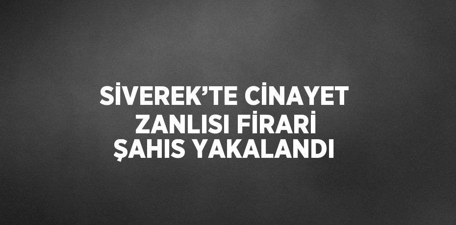 SİVEREK’TE CİNAYET ZANLISI FİRARİ ŞAHIS YAKALANDI