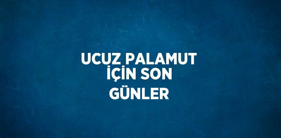 UCUZ PALAMUT İÇİN SON GÜNLER