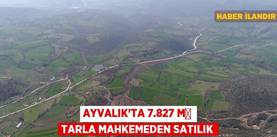 Ayvalık'ta 7.827 m² tarla mahkemeden satılık