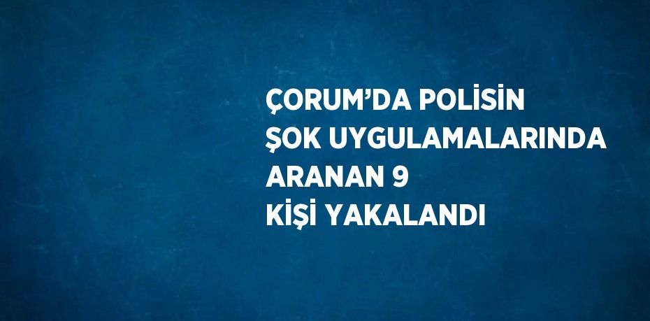 ÇORUM’DA POLİSİN ŞOK UYGULAMALARINDA ARANAN 9 KİŞİ YAKALANDI