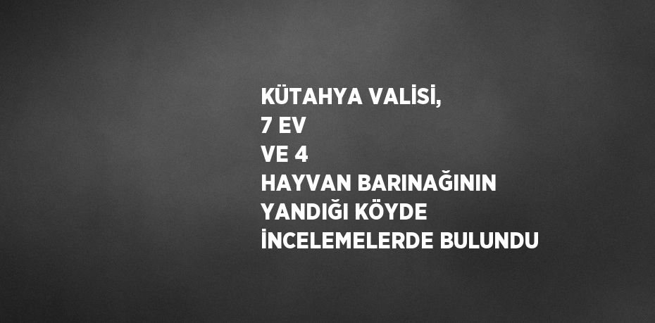 KÜTAHYA VALİSİ, 7 EV VE 4 HAYVAN BARINAĞININ YANDIĞI KÖYDE İNCELEMELERDE BULUNDU