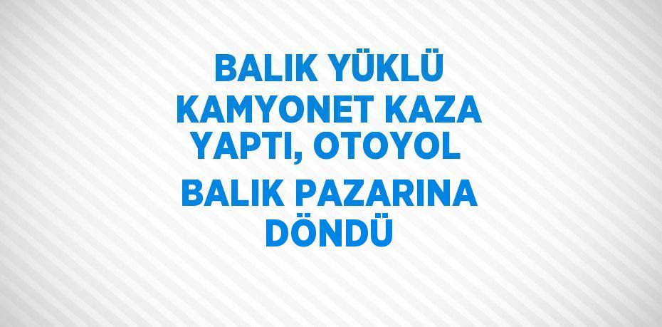 BALIK YÜKLÜ KAMYONET KAZA YAPTI, OTOYOL BALIK PAZARINA DÖNDÜ