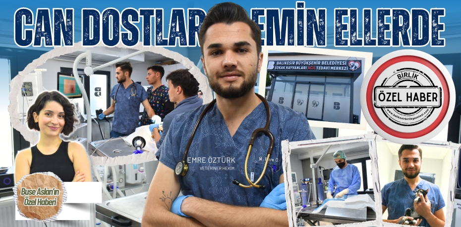 CAN DOSTLAR EMİN ELLERDE