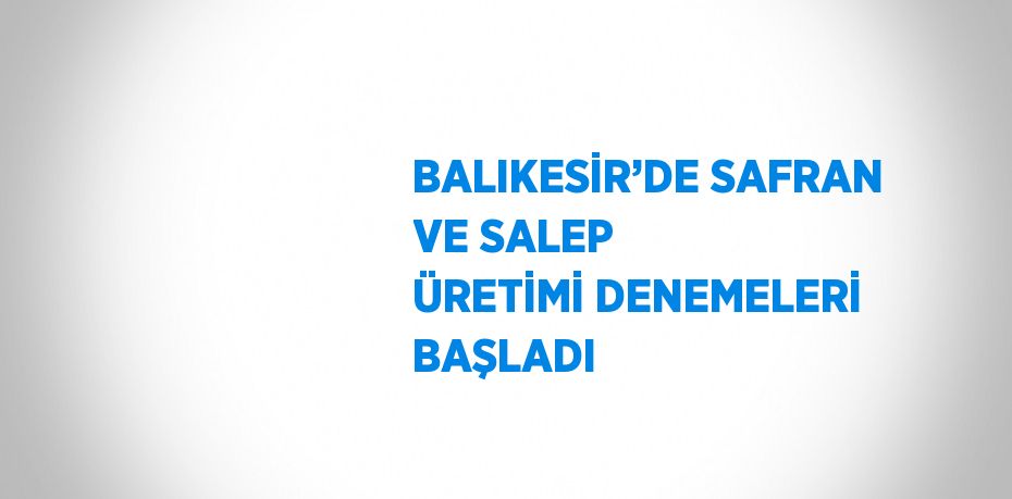 BALIKESİR’DE SAFRAN VE SALEP ÜRETİMİ DENEMELERİ BAŞLADI