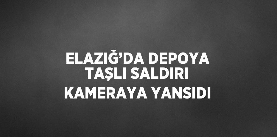 ELAZIĞ’DA DEPOYA TAŞLI SALDIRI KAMERAYA YANSIDI