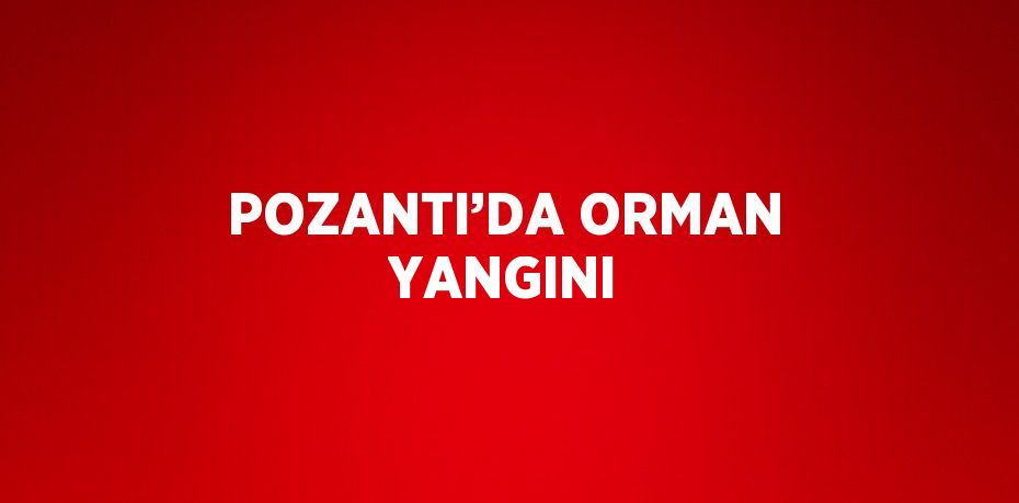 POZANTI’DA ORMAN YANGINI