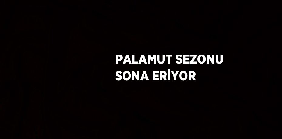 PALAMUT SEZONU SONA ERİYOR