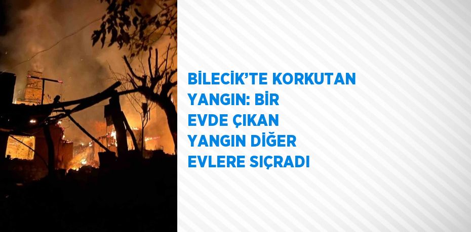 BİLECİK’TE KORKUTAN YANGIN: BİR EVDE ÇIKAN YANGIN DİĞER EVLERE SIÇRADI