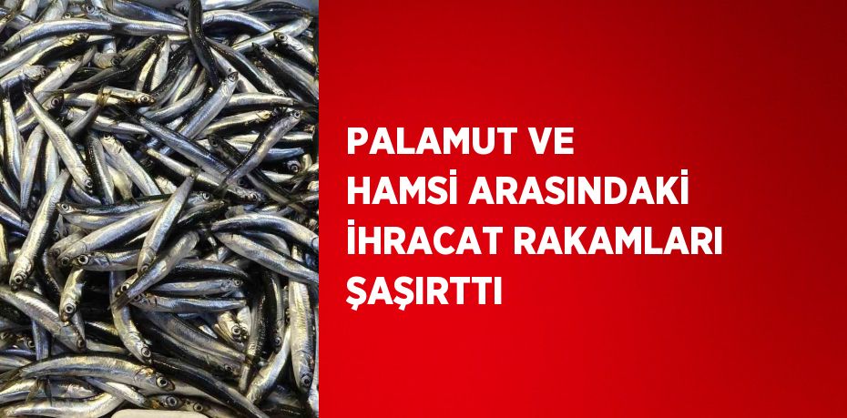 PALAMUT VE HAMSİ ARASINDAKİ İHRACAT RAKAMLARI ŞAŞIRTTI