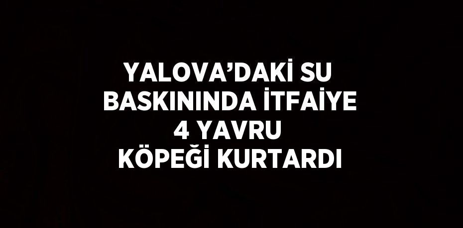 YALOVA’DAKİ SU BASKININDA İTFAİYE 4 YAVRU KÖPEĞİ KURTARDI