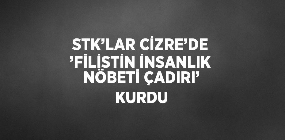 STK’LAR CİZRE’DE ’FİLİSTİN İNSANLIK NÖBETİ ÇADIRI’ KURDU