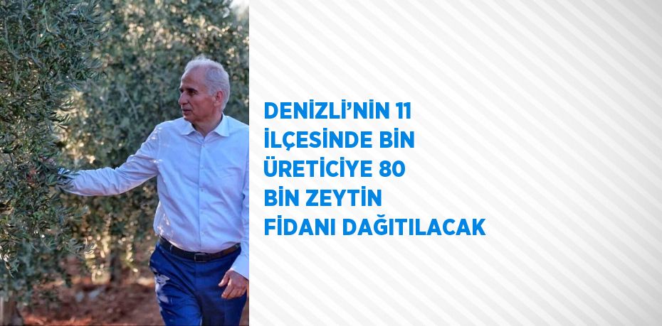 DENİZLİ’NİN 11 İLÇESİNDE BİN ÜRETİCİYE 80 BİN ZEYTİN FİDANI DAĞITILACAK