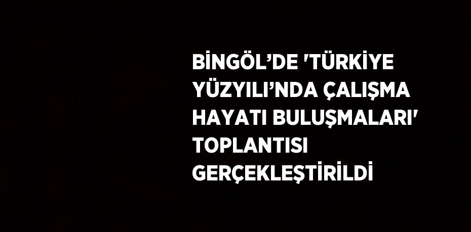 BİNGÖL’DE 'TÜRKİYE YÜZYILI’NDA ÇALIŞMA HAYATI BULUŞMALARI' TOPLANTISI GERÇEKLEŞTİRİLDİ