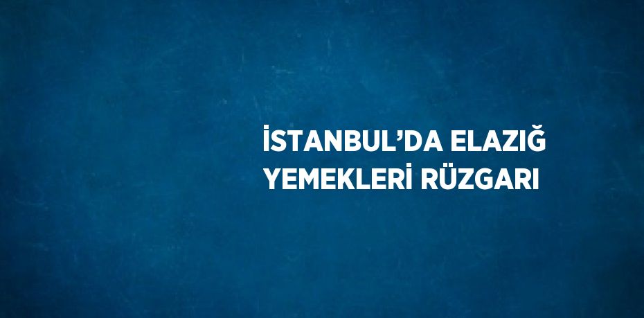 İSTANBUL’DA ELAZIĞ YEMEKLERİ RÜZGARI