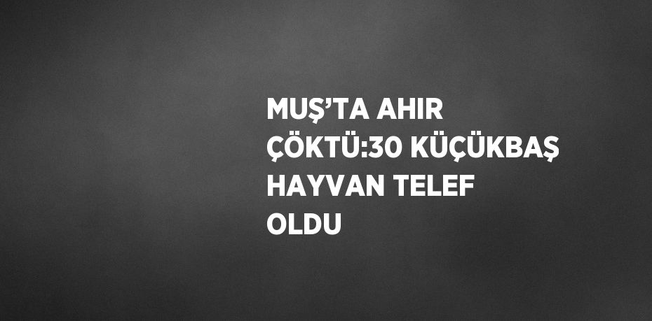 MUŞ’TA AHIR ÇÖKTÜ:30 KÜÇÜKBAŞ HAYVAN TELEF OLDU