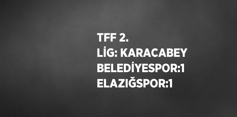 TFF 2. LİG: KARACABEY BELEDİYESPOR:1 ELAZIĞSPOR:1