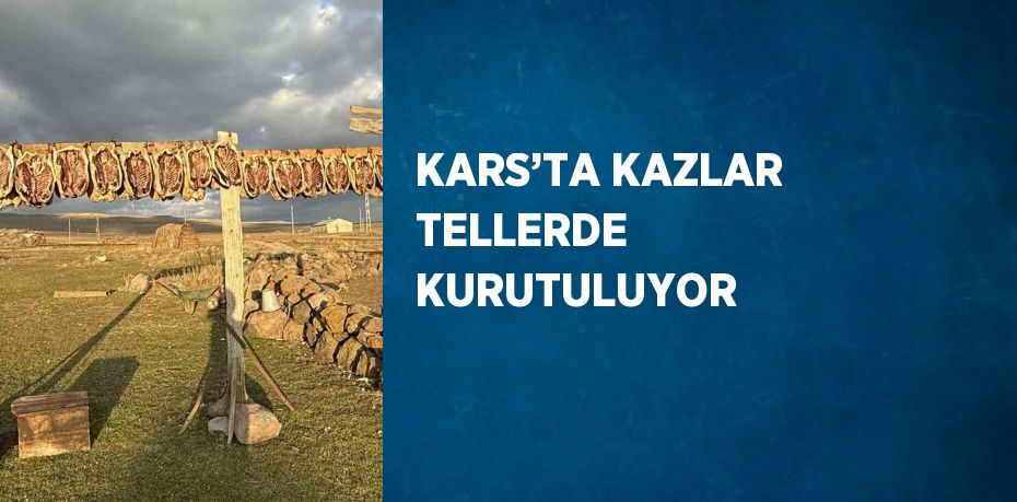 KARS’TA KAZLAR TELLERDE KURUTULUYOR