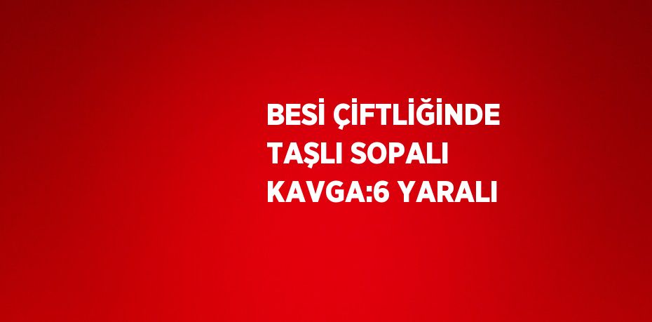 BESİ ÇİFTLİĞİNDE TAŞLI SOPALI KAVGA:6 YARALI