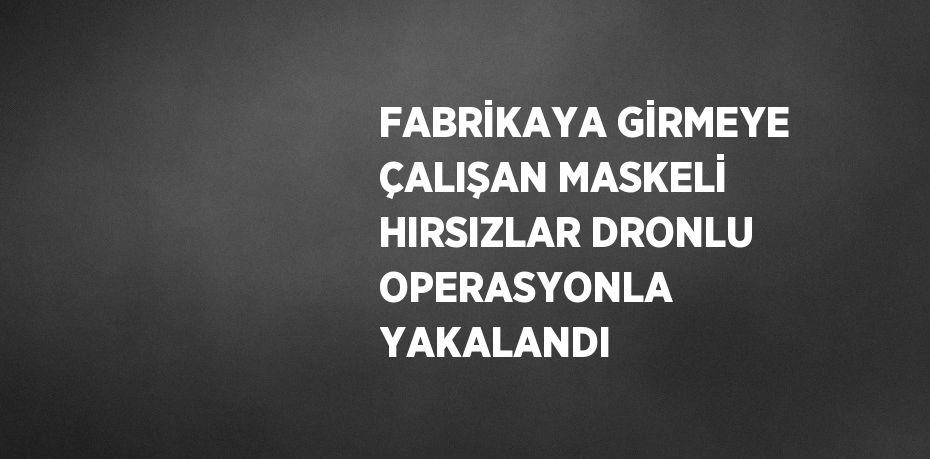 FABRİKAYA GİRMEYE ÇALIŞAN MASKELİ HIRSIZLAR DRONLU OPERASYONLA YAKALANDI