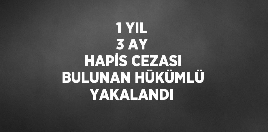 1 YIL 3 AY HAPİS CEZASI BULUNAN HÜKÜMLÜ YAKALANDI