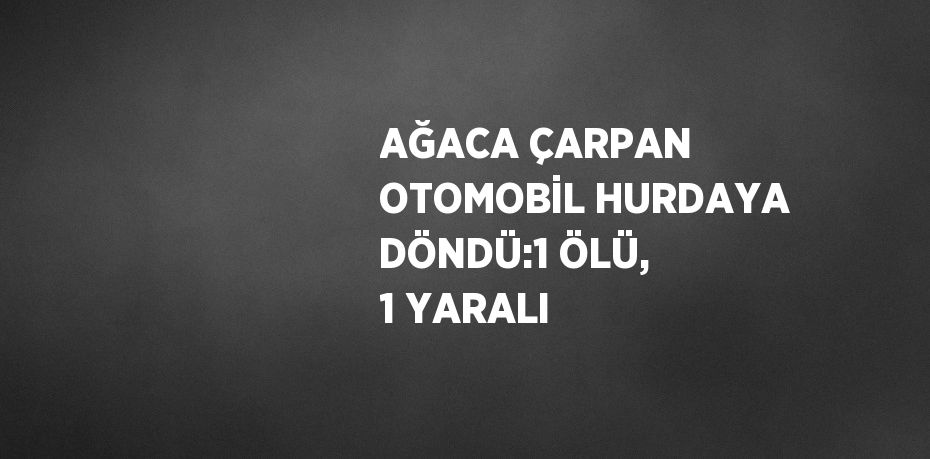 AĞACA ÇARPAN OTOMOBİL HURDAYA DÖNDÜ:1 ÖLÜ, 1 YARALI