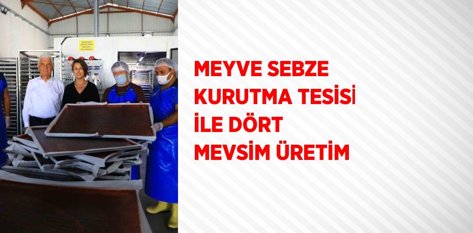 MEYVE SEBZE KURUTMA TESİSİ İLE DÖRT MEVSİM ÜRETİM