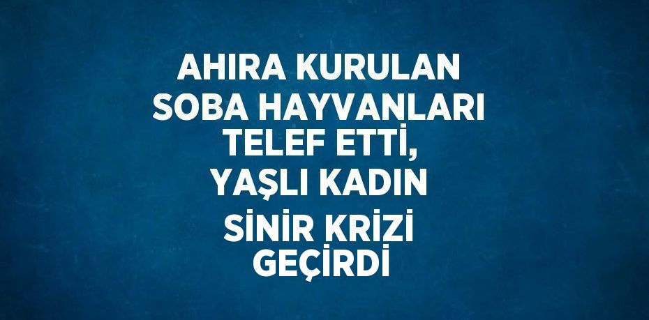 AHIRA KURULAN SOBA HAYVANLARI TELEF ETTİ, YAŞLI KADIN SİNİR KRİZİ GEÇİRDİ