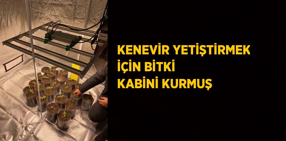 KENEVİR YETİŞTİRMEK İÇİN BİTKİ KABİNİ KURMUŞ