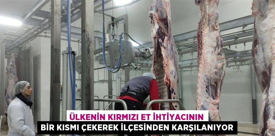 ÜLKENİN KIRMIZI ET İHTİYACININ BİR KISMI ÇEKEREK İLÇESİNDEN KARŞILANIYOR