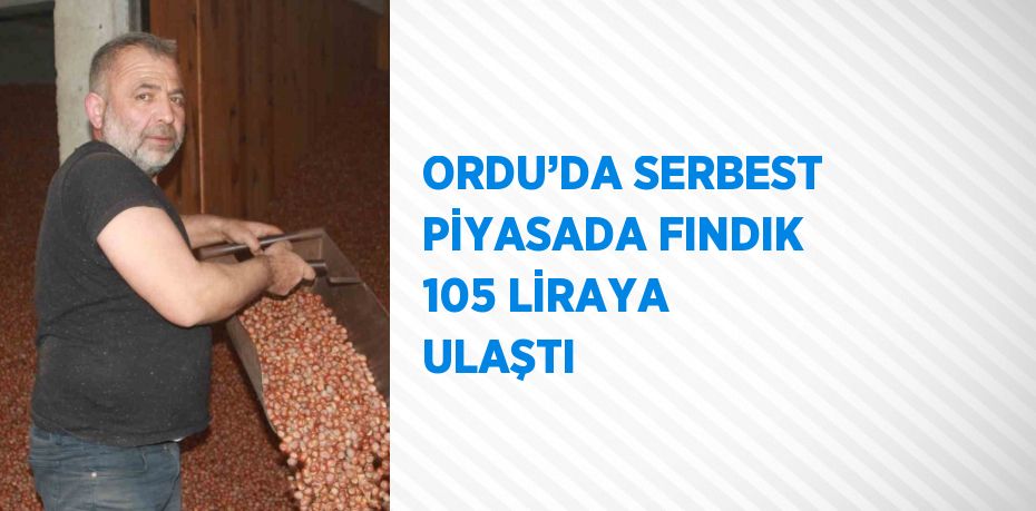 ORDU’DA SERBEST PİYASADA FINDIK 105 LİRAYA ULAŞTI