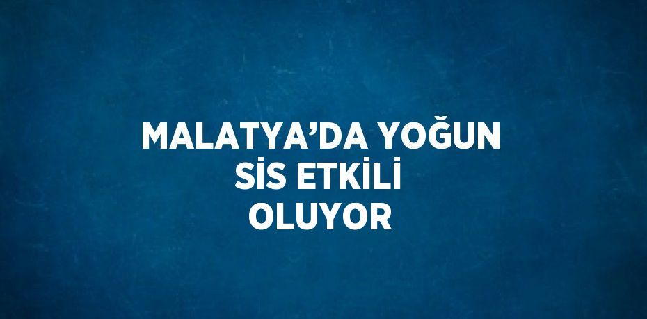 MALATYA’DA YOĞUN SİS ETKİLİ OLUYOR