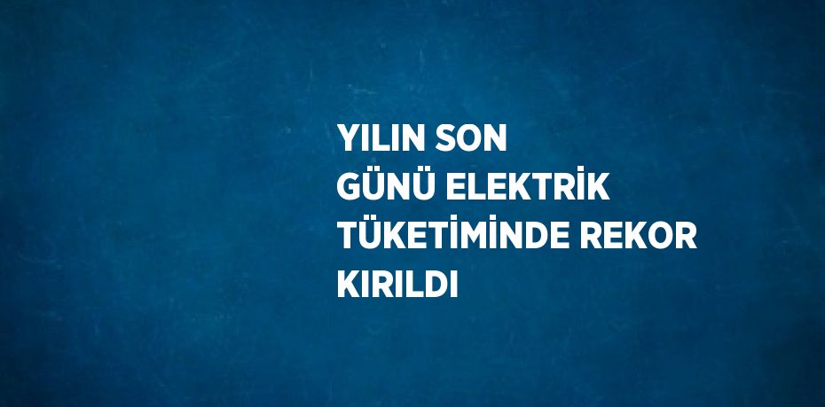 YILIN SON GÜNÜ ELEKTRİK TÜKETİMİNDE REKOR KIRILDI