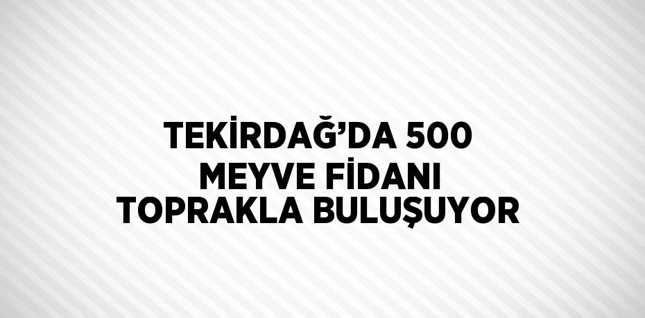 TEKİRDAĞ’DA 500 MEYVE FİDANI TOPRAKLA BULUŞUYOR