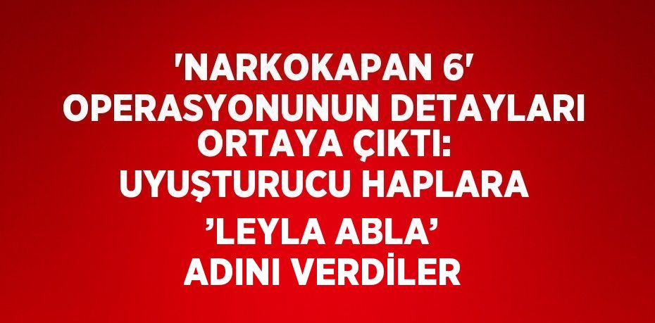 'NARKOKAPAN 6' OPERASYONUNUN DETAYLARI ORTAYA ÇIKTI: UYUŞTURUCU HAPLARA ’LEYLA ABLA’ ADINI VERDİLER