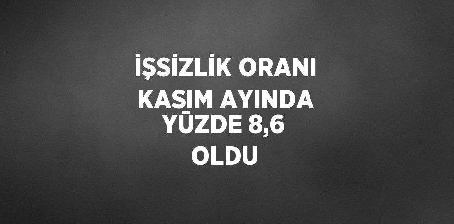 İŞSİZLİK ORANI KASIM AYINDA YÜZDE 8,6 OLDU