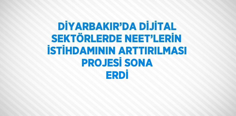 DİYARBAKIR’DA DİJİTAL SEKTÖRLERDE NEET’LERİN İSTİHDAMININ ARTTIRILMASI PROJESİ SONA ERDİ