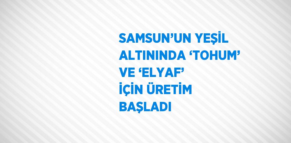 SAMSUN’UN YEŞİL ALTININDA ‘TOHUM’ VE ‘ELYAF’ İÇİN ÜRETİM BAŞLADI