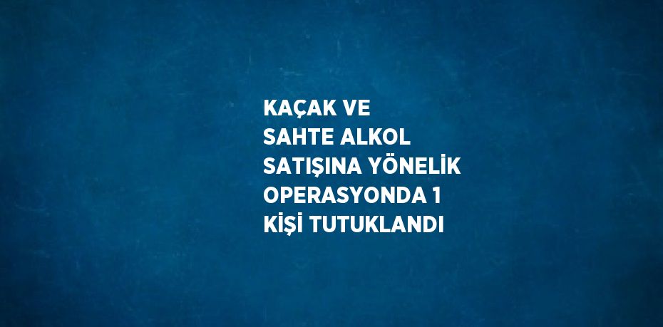 KAÇAK VE SAHTE ALKOL SATIŞINA YÖNELİK OPERASYONDA 1 KİŞİ TUTUKLANDI