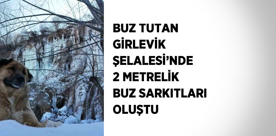 BUZ TUTAN GİRLEVİK ŞELALESİ’NDE 2 METRELİK BUZ SARKITLARI OLUŞTU