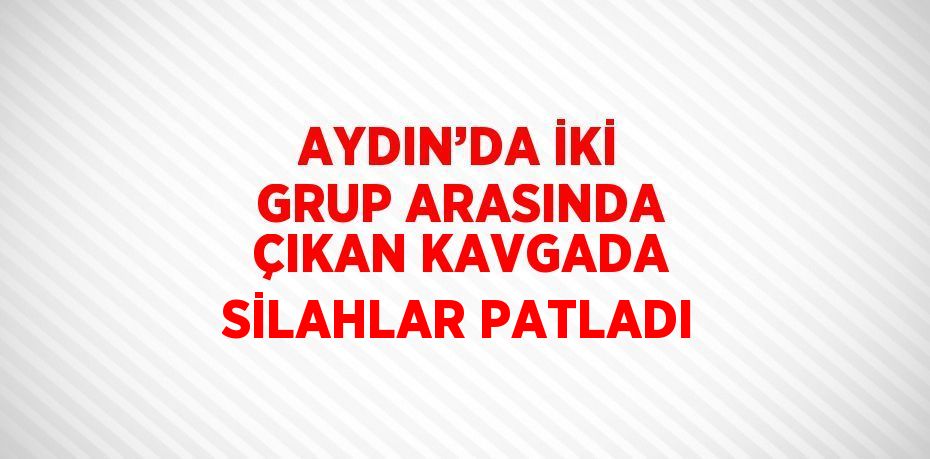 AYDIN’DA İKİ GRUP ARASINDA ÇIKAN KAVGADA SİLAHLAR PATLADI