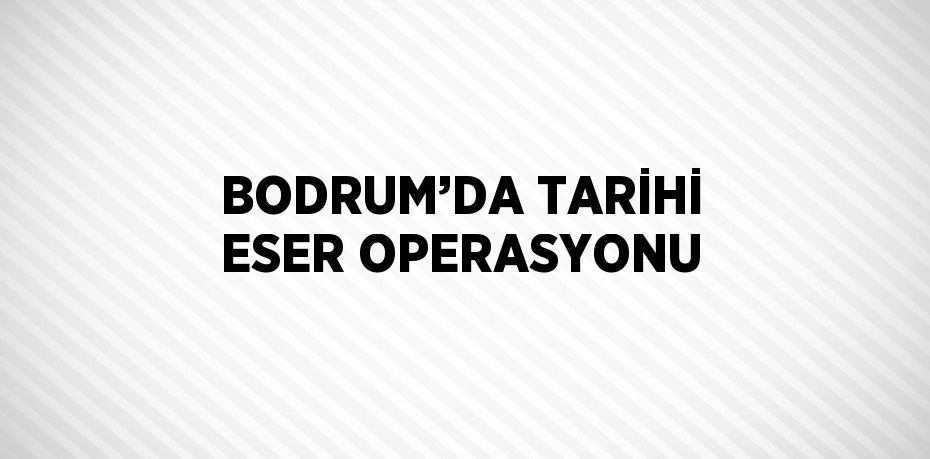 BODRUM’DA TARİHİ ESER OPERASYONU