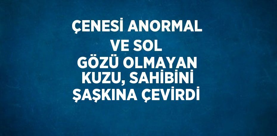 ÇENESİ ANORMAL VE SOL GÖZÜ OLMAYAN KUZU, SAHİBİNİ ŞAŞKINA ÇEVİRDİ