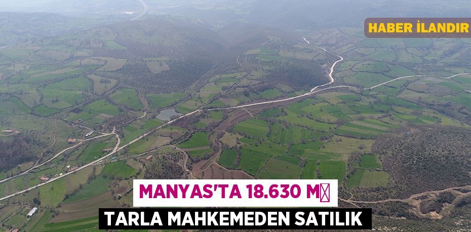 Manyas'ta 18.630 m² tarla mahkemeden satılık