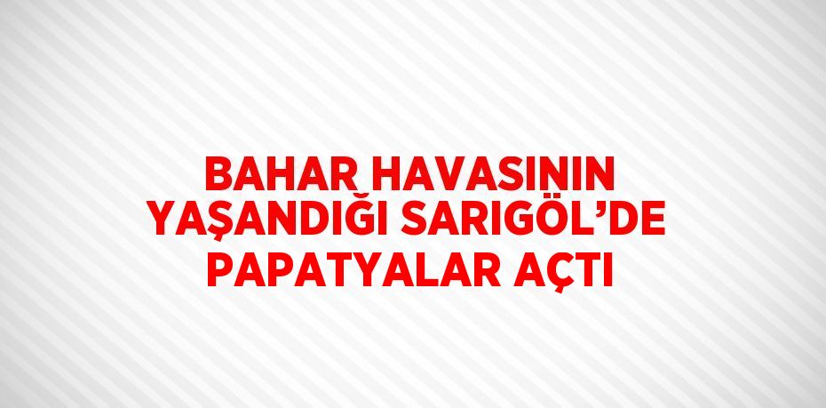 BAHAR HAVASININ YAŞANDIĞI SARIGÖL’DE PAPATYALAR AÇTI