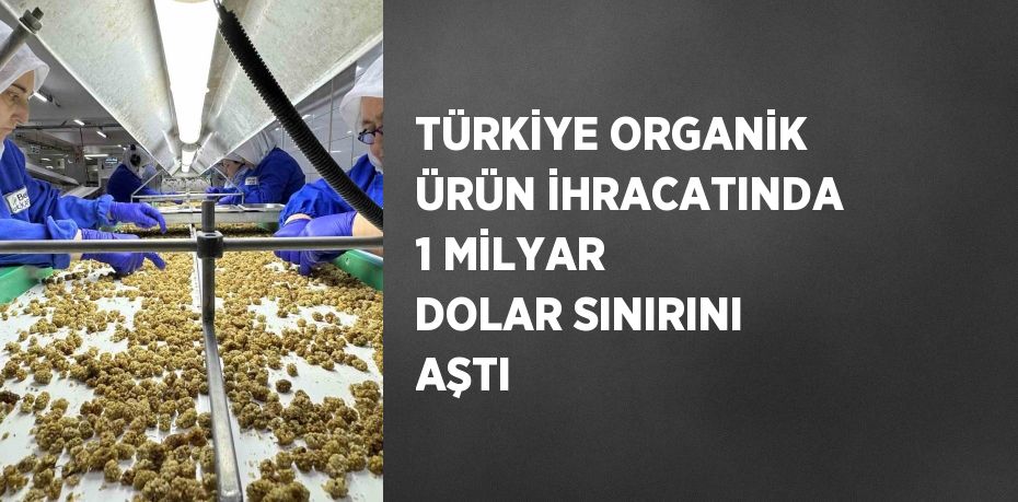 TÜRKİYE ORGANİK ÜRÜN İHRACATINDA 1 MİLYAR DOLAR SINIRINI AŞTI