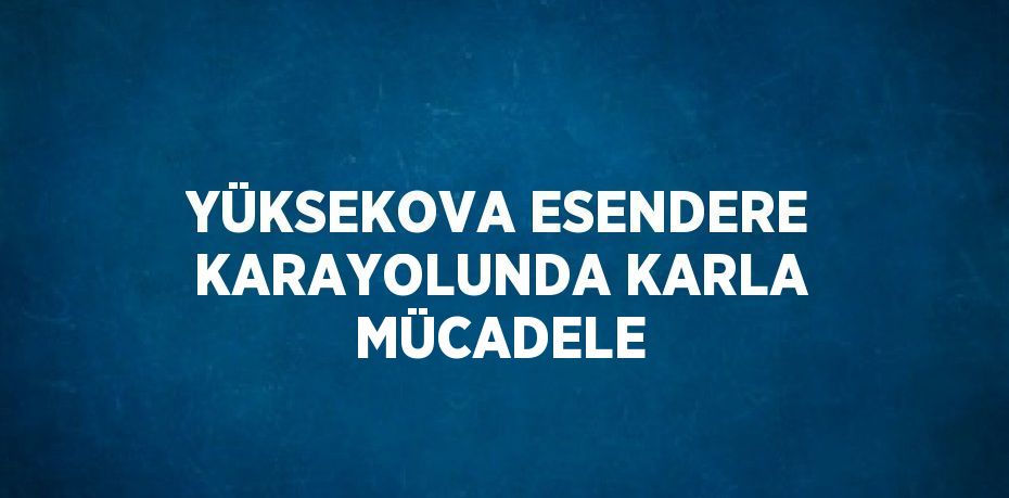 YÜKSEKOVA ESENDERE KARAYOLUNDA KARLA MÜCADELE