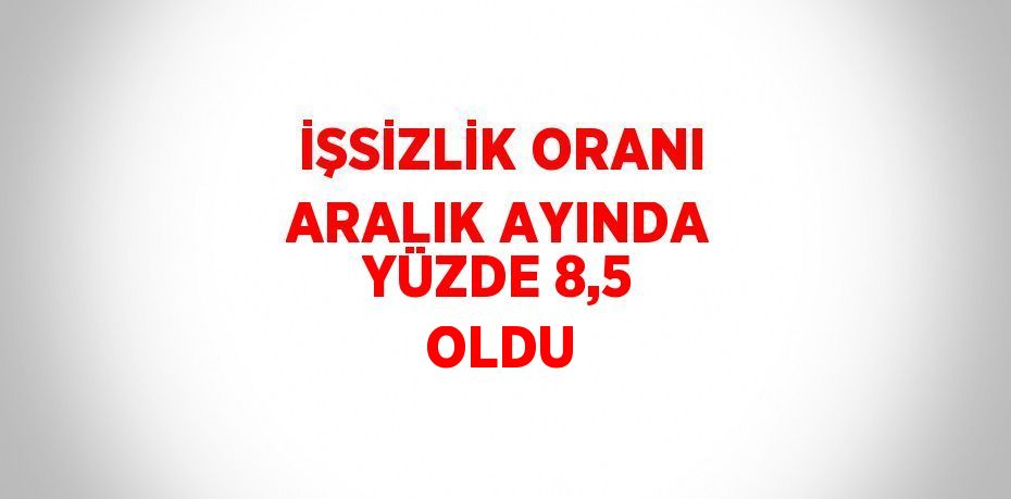 İŞSİZLİK ORANI ARALIK AYINDA YÜZDE 8,5 OLDU