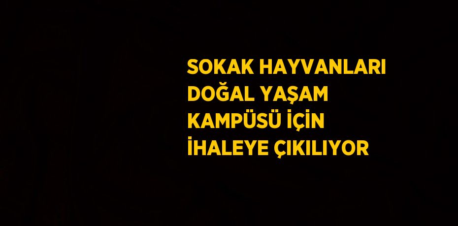 SOKAK HAYVANLARI DOĞAL YAŞAM KAMPÜSÜ İÇİN İHALEYE ÇIKILIYOR